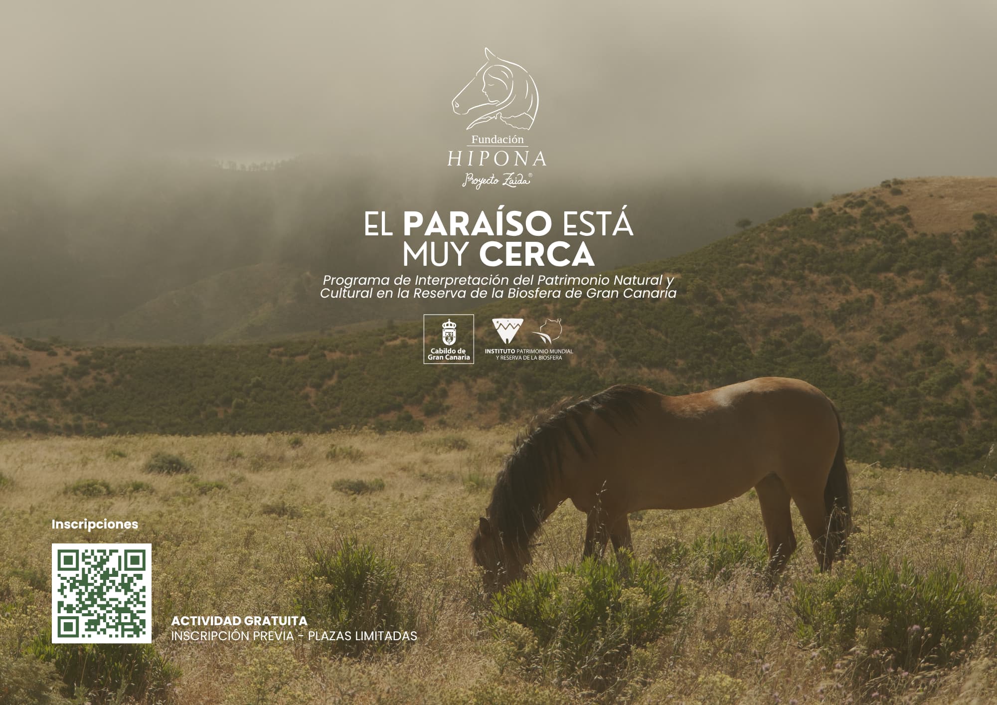 Visitas Hipona